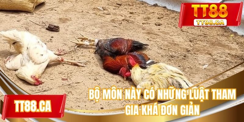 Bộ môn này có những luật tham gia khá đơn giản
